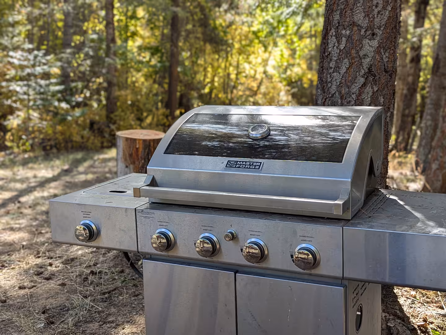 BBQ Area